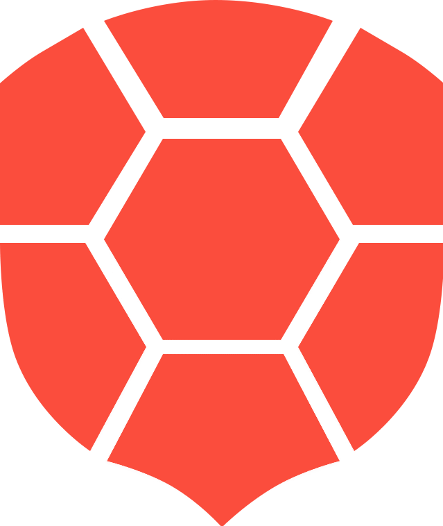 cropped cropped 橘色龟壳.png